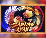 Sabung Ayam